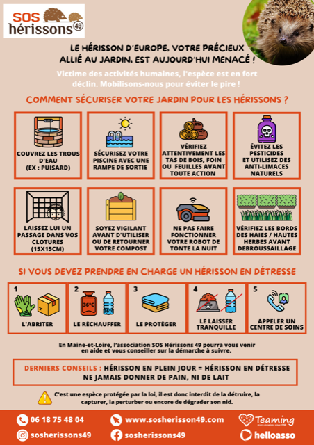 Image affiche manquante