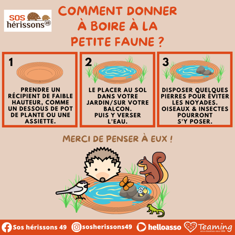 Image boire manquante