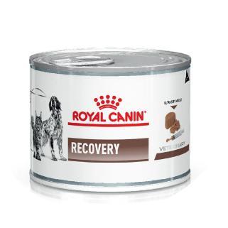 Manque photo recovery
