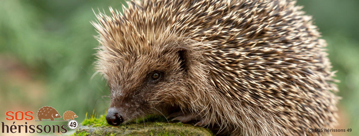 Image her_accueil manquante