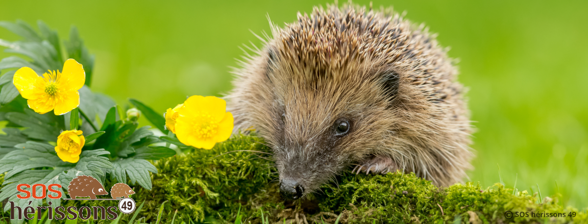 Image her_acteur manquante