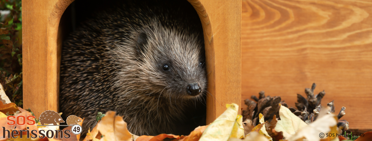 Image her_contact manquante