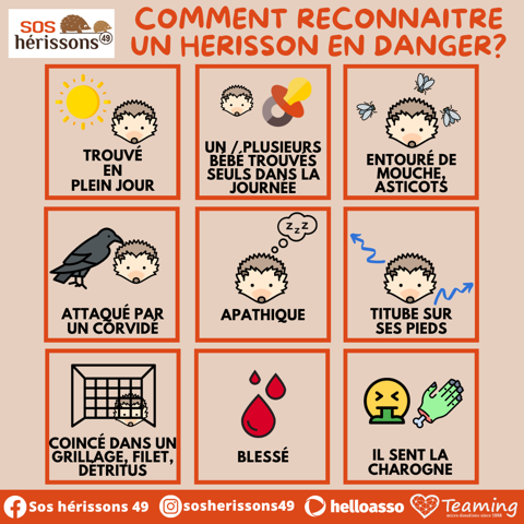 Image her_en_danger manquante