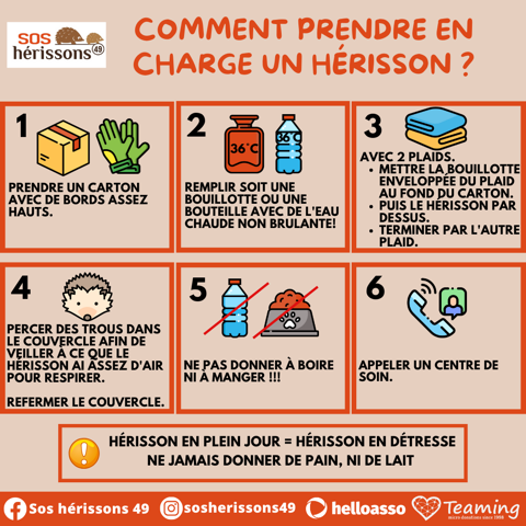 Image her_pec manquante