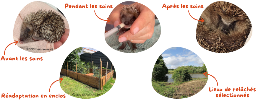 Image her_soins manquante