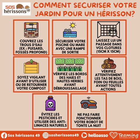 Image jardin manquante