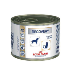 Image recovery manquante